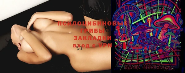 сатива Богданович