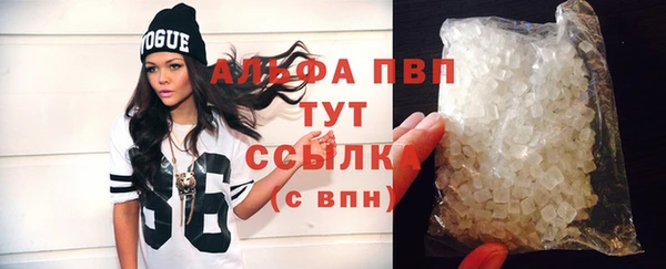 сатива Богданович