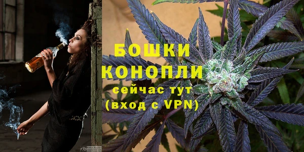 сатива Богданович