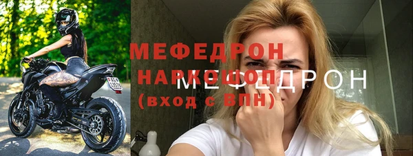 сатива Богданович
