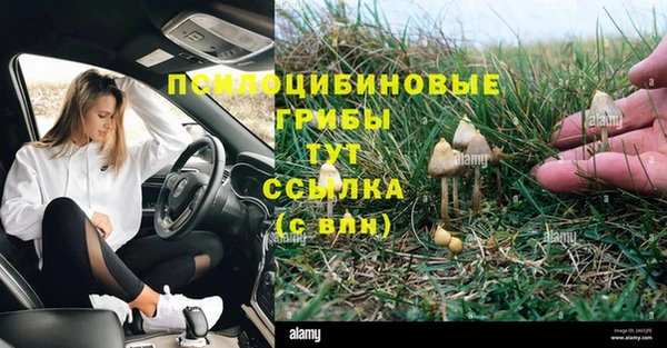 сатива Богданович