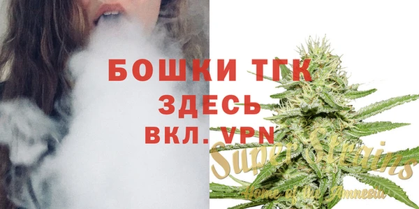 сатива Богданович