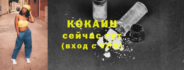 сатива Богданович