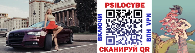 Псилоцибиновые грибы Psilocybine cubensis  Черногорск 